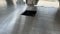 2024 HILLSBORO 4000 ALT81-86-38-40-2BOX Base
